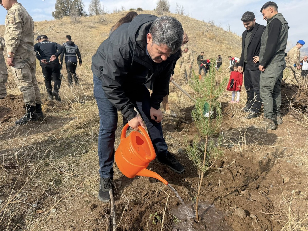 🌲 11 Kasım Milli Ağaçlandırma Günü 🌳