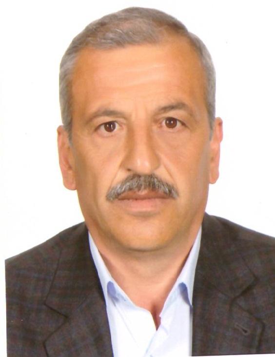 Elvan TEKİN